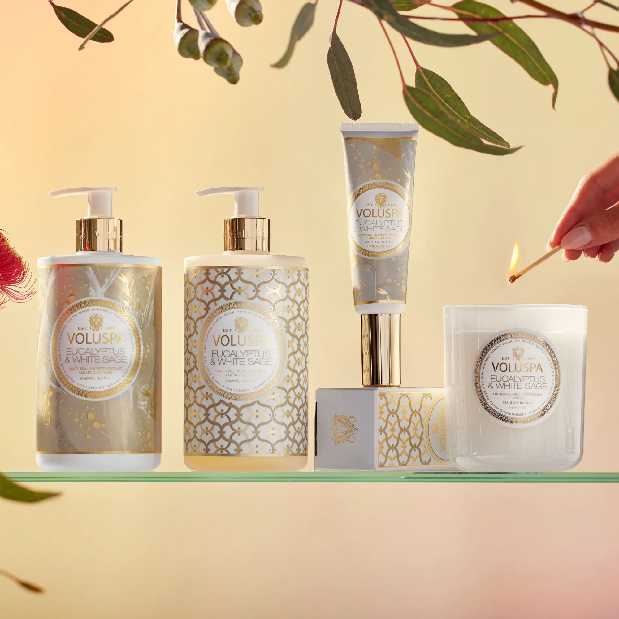 Eucalyptus & White Sage - Hand Soap & Lotion - Image 3