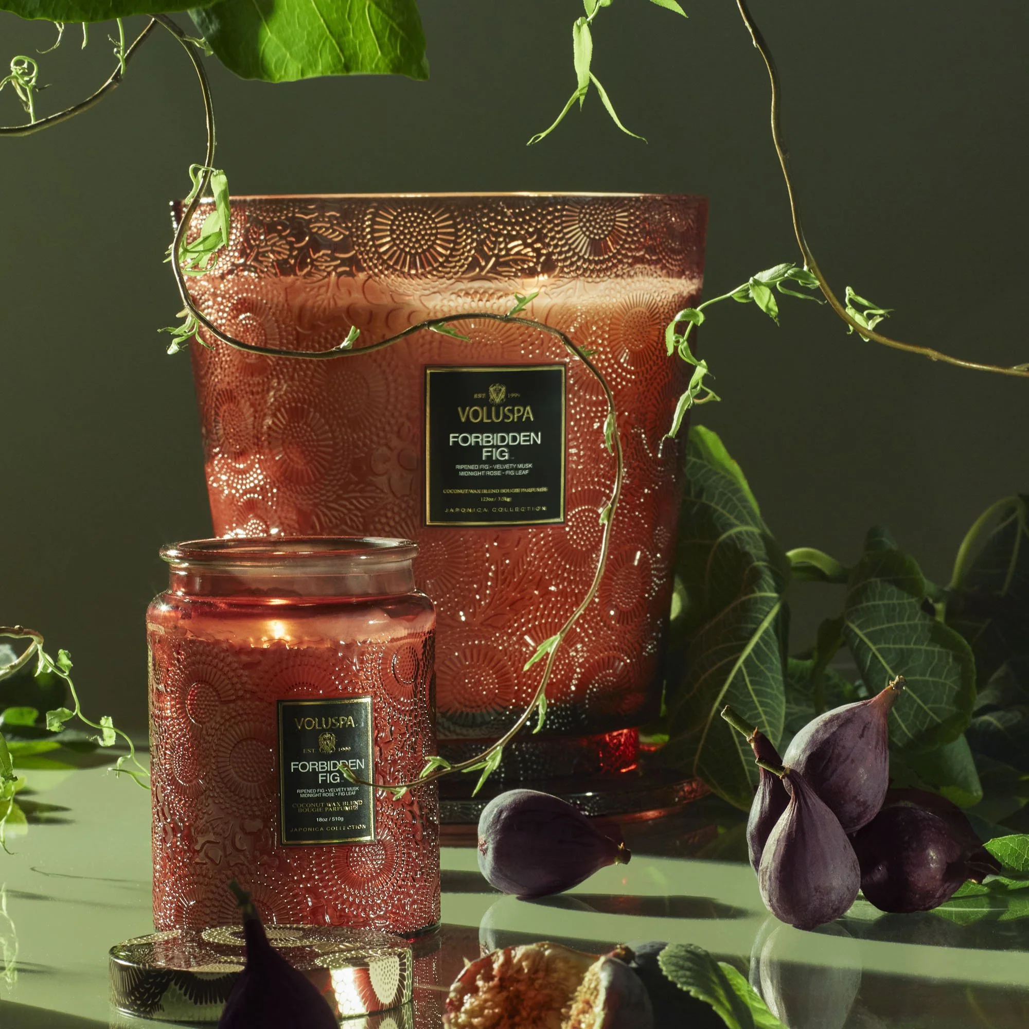 Forbidden Fig - Large Jar Candle - Image 3