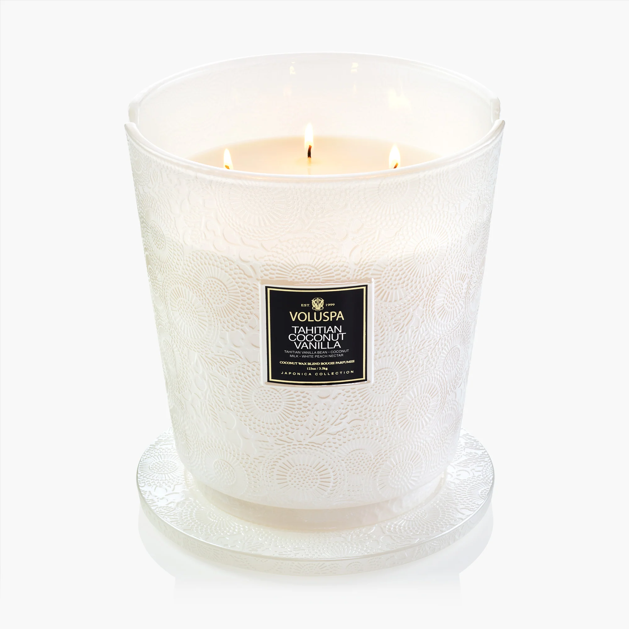 Tahitian Coconut Vanilla - 5 Wick Hearth Candle - Image 4