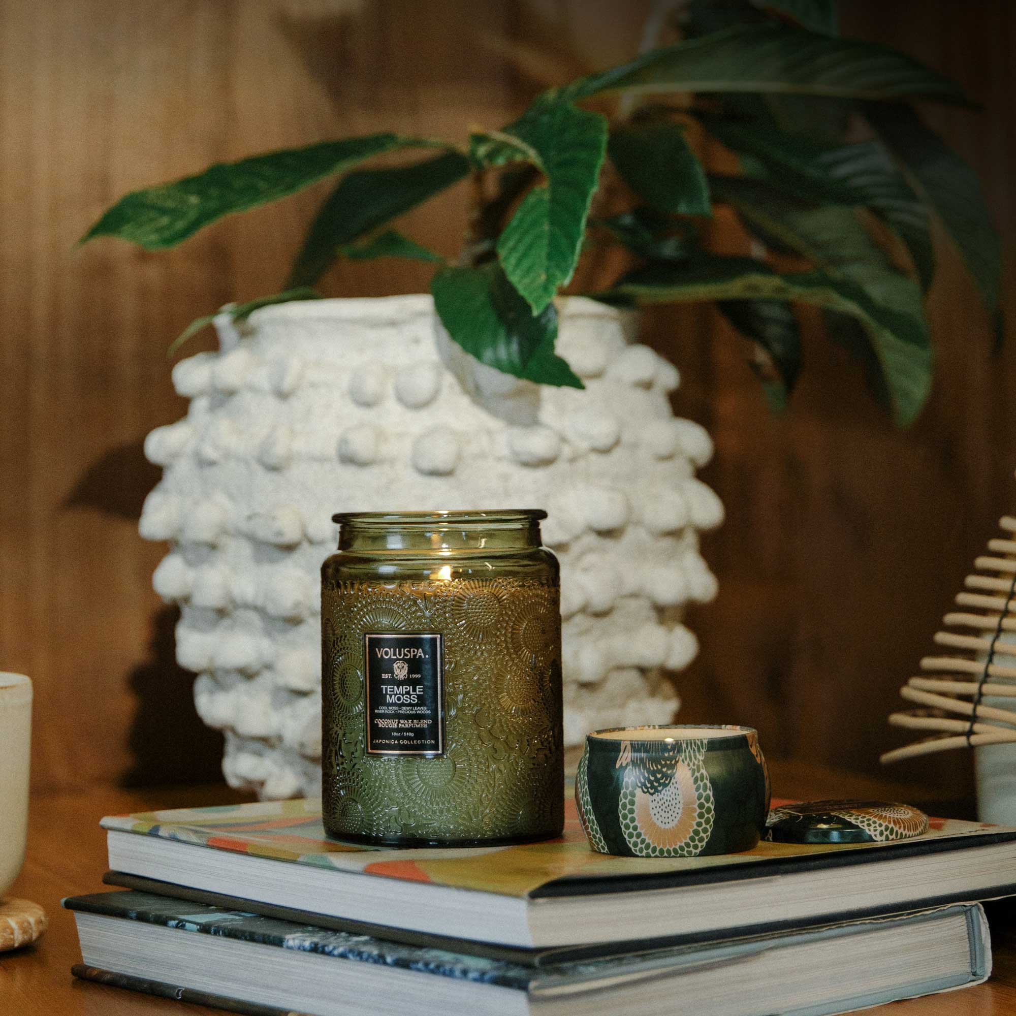 Temple Moss - Large Jar Candle - Image 3