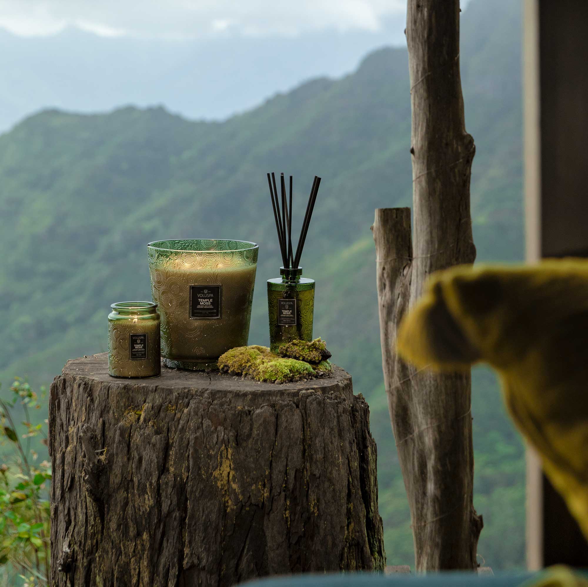 Temple Moss - Luxe Reed Diffuser - Image 5